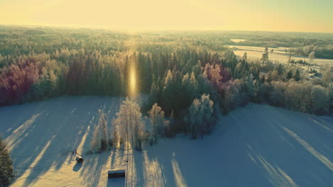 Vista-Panorámica-De-Drones-Aéreos-Sobre-El-Paisaje-Congelado-Y-El-Bosque-De-Coníferas-Al-Atardecer