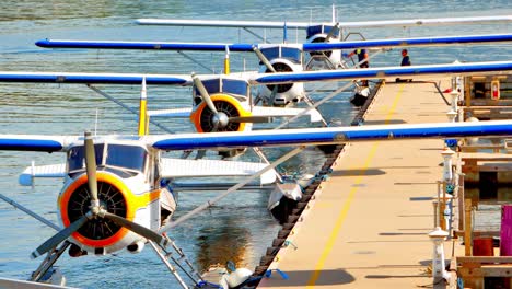 clip de bucle sin costura, hidroaviones alineados en el muelle