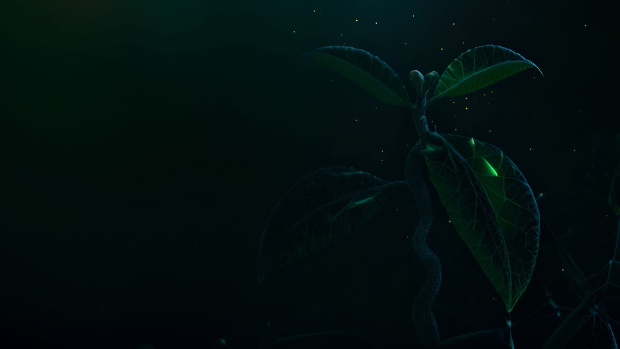 Abstract Plant Growth