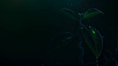 abstract plant growth