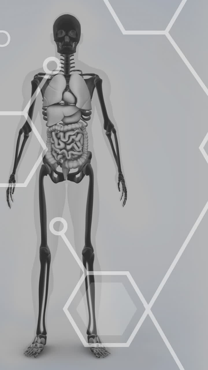 animación de fórmulas químicas sobre el modelo del cuerpo humano