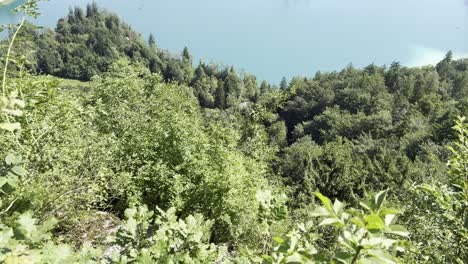 stunning aerial view of lake bled, slovenia