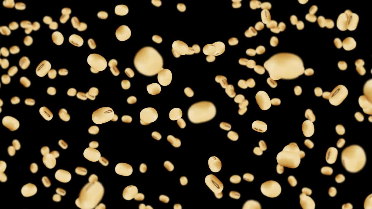 검은색 바탕에 많은 콩을 날아. 밝은 갈색 곡물. 콩과 콩. 건강한 음식. 회전하는 콩의 3d 루프 애니메이션.