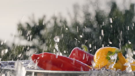 Gemüse-Fällt-In-Zeitlupe-In-Einen-Eimer-Mit-Wasser