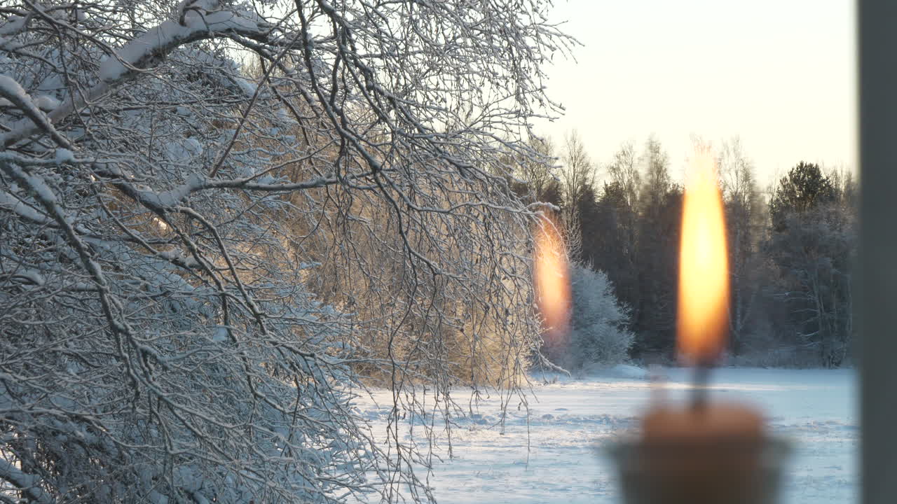 창에 있는 촛불의 클로즈업에서 야외의 눈 덮인 나무로 초점 이동