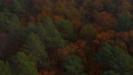 Wonderful-mixed-Autumn-Colors,-Green-Red-and-Orange-vivid-colored-Forest,-Aerial-high-angle-dolly-forward