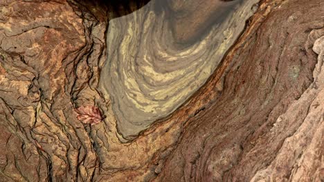 hand-held shot of erosion layers on a rock with a small water pool