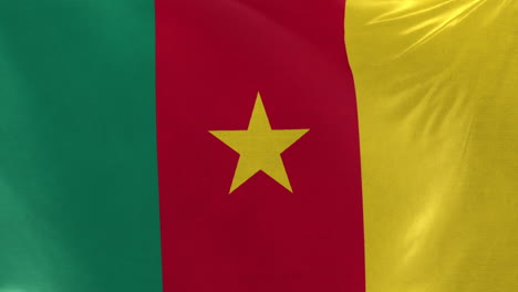 Cameroon-flag