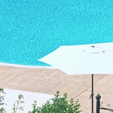 beautiful luxury umbrella and chair around outdoor swimming pool