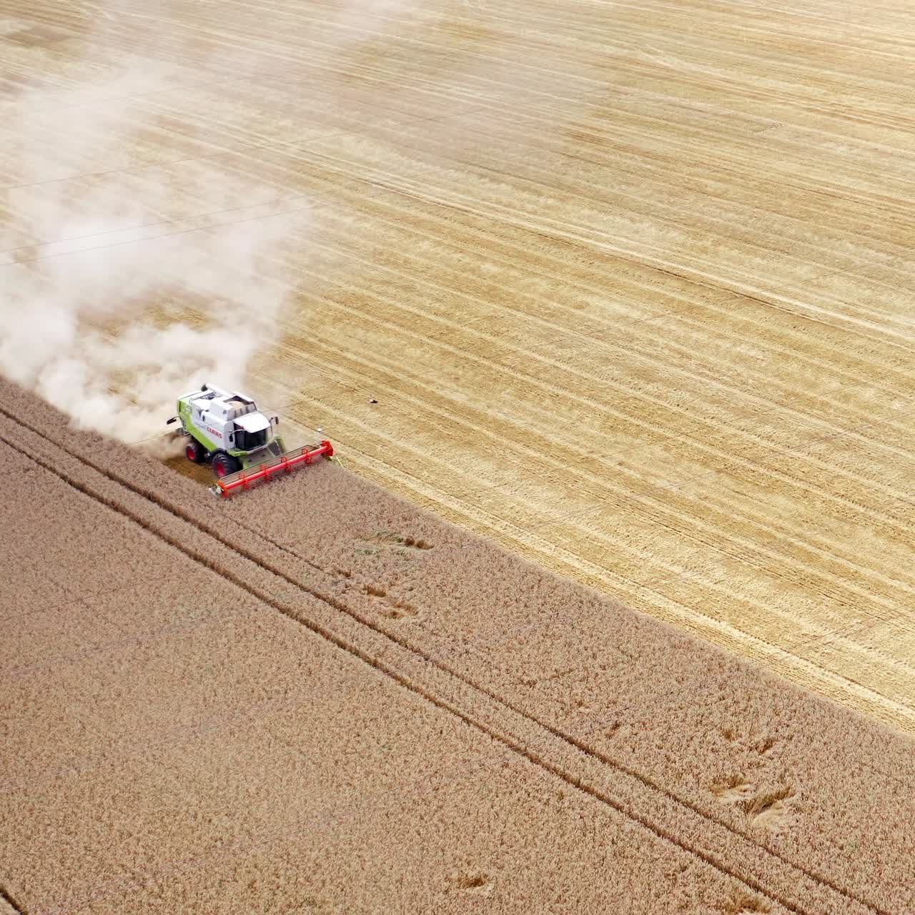 Agriculture machine working on field at harvest season. White dust after the combine rising in the air. Harvesting machine collects ripe crop. Aerial view