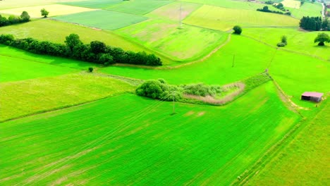 aerial drone view of lush green summer fields