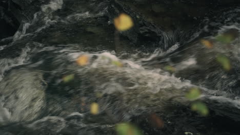 primer plano del río que fluye sobre la roca