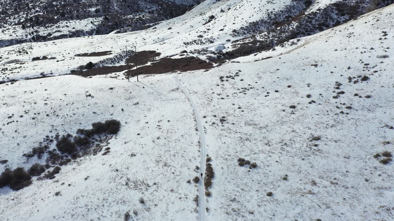 Aerial View of Solitary Person Walking on Path in Rural Snowy Winter Landscape