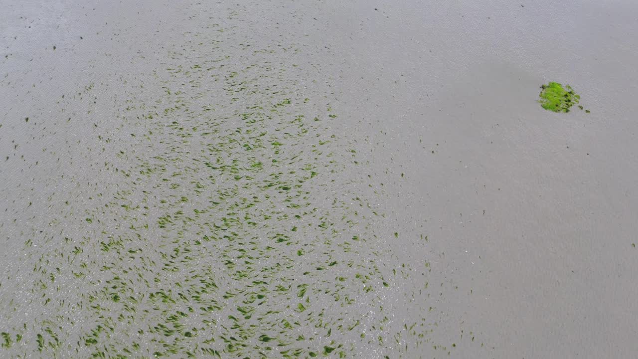 스코틀랜드의 모라의 은빛 모래 위를 날아다니는 구름이 많은 날.