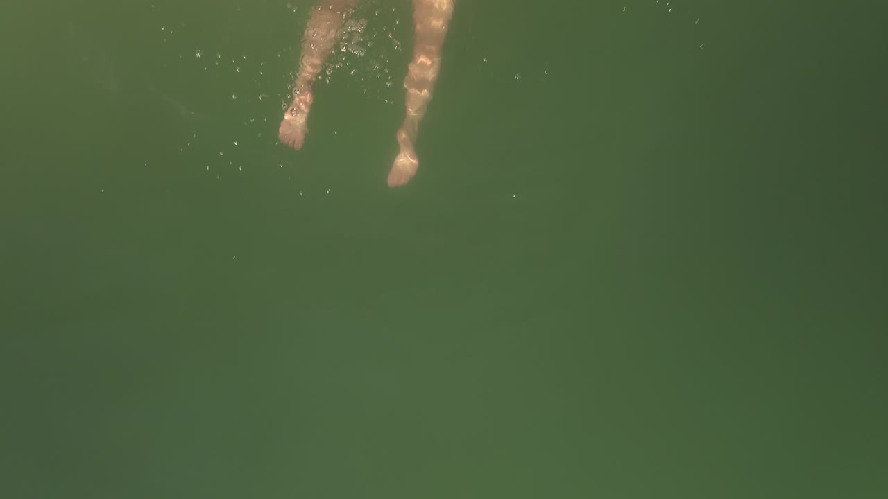 toma aérea sobre una mujer en traje de baño bikini soplando un beso y nadando en una hermosa superficie de agua verde