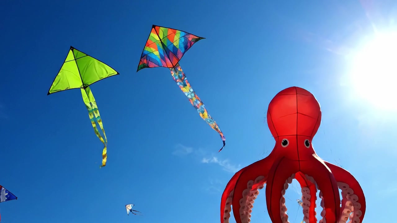 Aquiloni vivaci che danzano nel cielo azzurro e limpido, mostrando uno spettacolo mozzafiato di forme e disegni colorati mentre si librano e svolazzano con grazia in alto