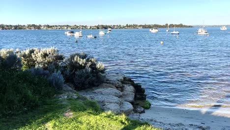 mirando hacia el río swan con barcos y yates en peppermint grove, perth, australia occidental