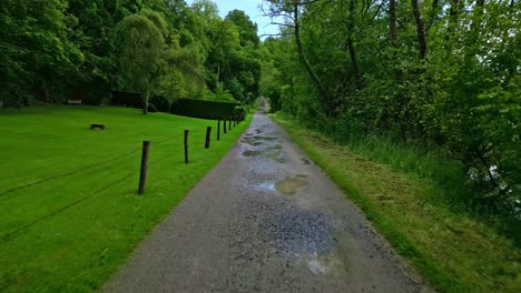 first-person walking backward on rural path in green countryside after the rain