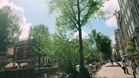 amsterdam canal street scene with bicycles, trees, and pedestrians