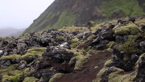 Foco-De-Extracción-De-Lava-Y-Musgo-De-Islandia-4k