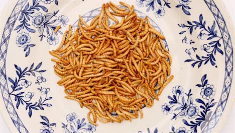 gusanos de harina girando en un plato blanco azul