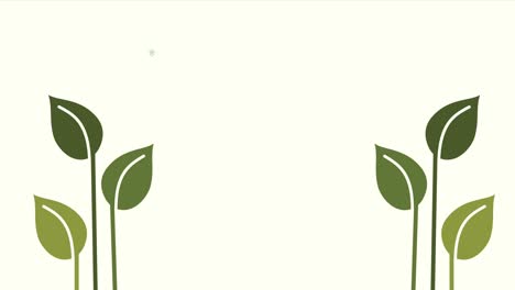 leafs plants nature green animation