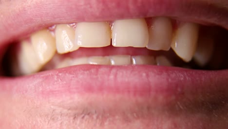 screaming man close up macro shot of a mans mouth screaming man close up macro shot of a mans mouth
