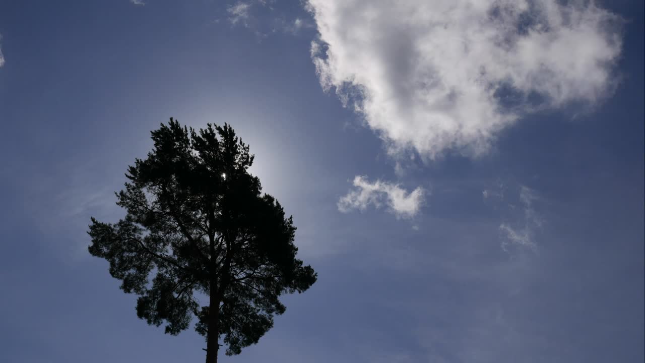 푸른 하늘 하 구름, 부풀어오르는 색 구름, 큐러스 구름 스케이프 타임스, 여름의 파란 하늘, 극적인 웅장한 놀라운 파란하늘, 부드러운  구름의 형태, 구름의 타임 스 배경