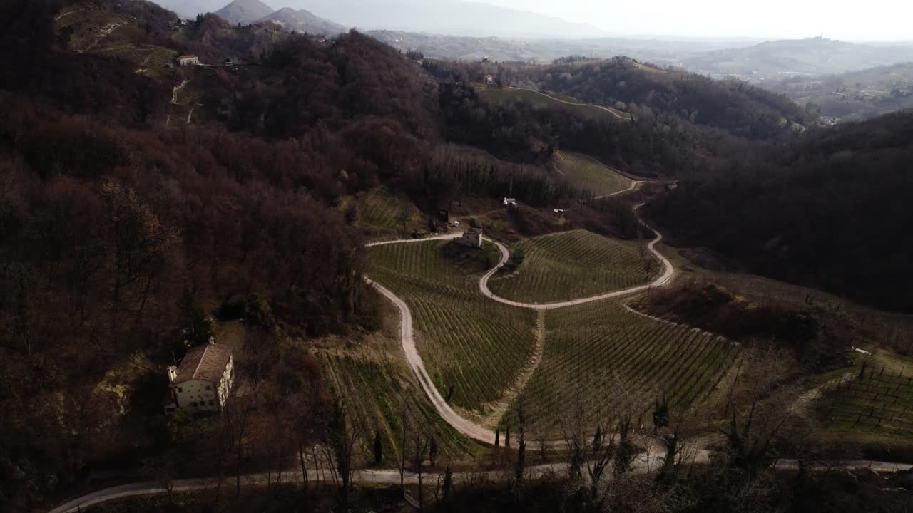 Vista paesaggistica panoramica aerea su una strada che si snoda tra i filari di vigneti nelle colline del Prosecco italiane, in una giornata invernale.