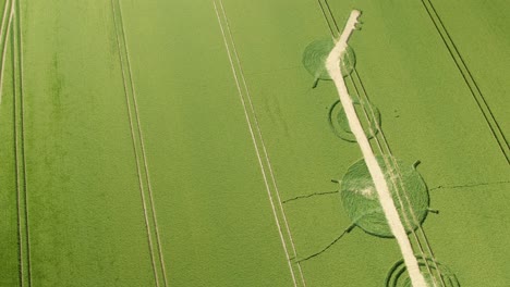 Vista-Aérea-Giratoria-Sobre-Winterbourne-Bassett-Destruido-Círculo-De-Cultivos-Arruinado-Patrón-De-Campo-De-Cebada-De-Wiltshire