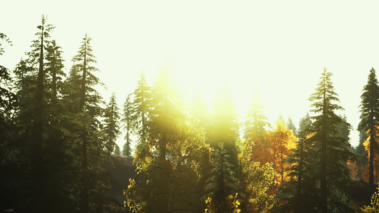 카르파티아 산맥 의 아름다운 자연 풍경