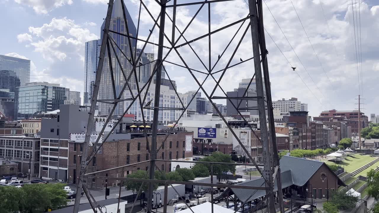 전기 기둥 에 있는 도시 새 들