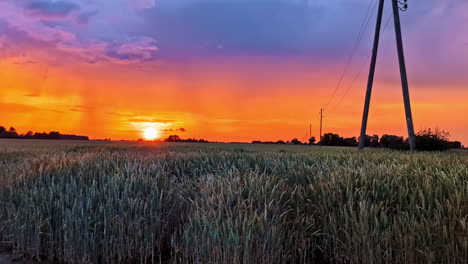 sunset sunrise golden hour sun org globe orange skyline rural agriculture land swamp