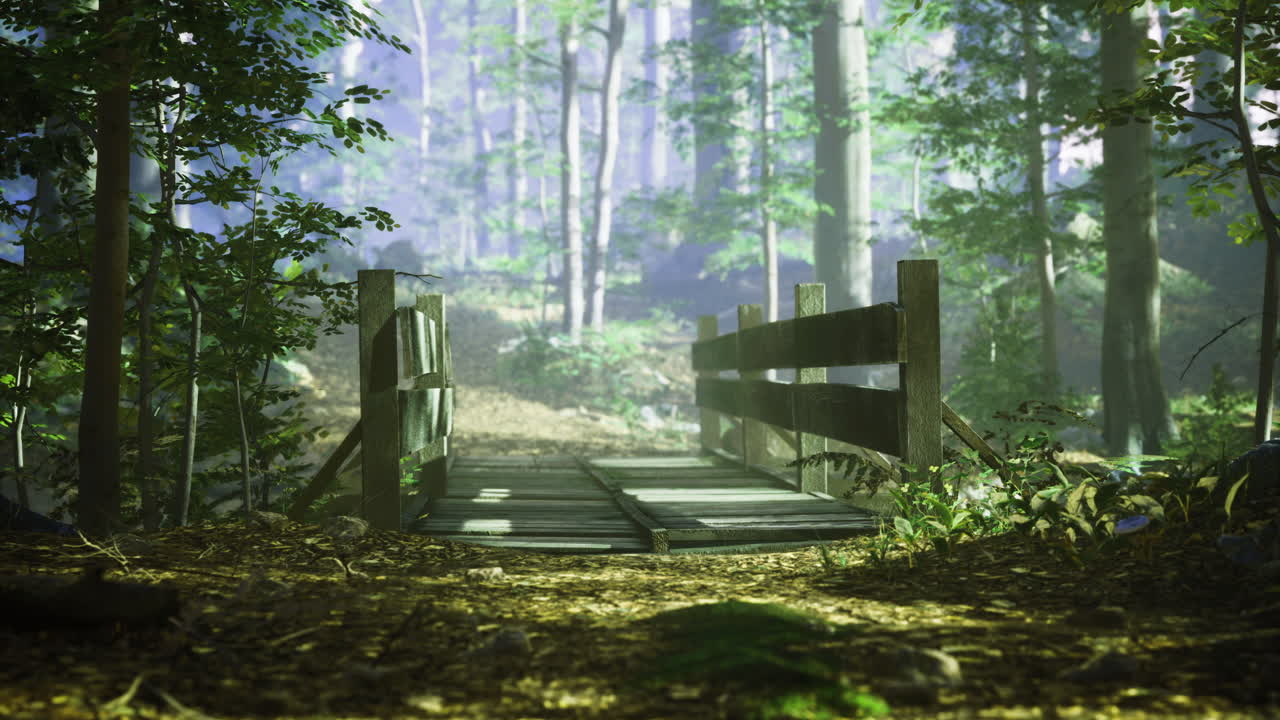 Wooden bridge surrounded by lush greenery in a tranquil forest setting