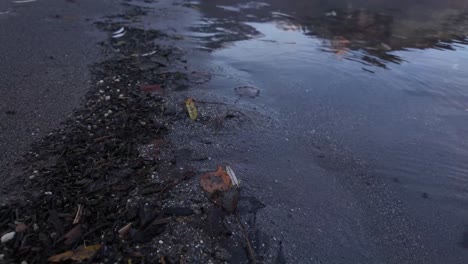 dark soil sand lakeside river bank lakeside calm waves ripples shallow water