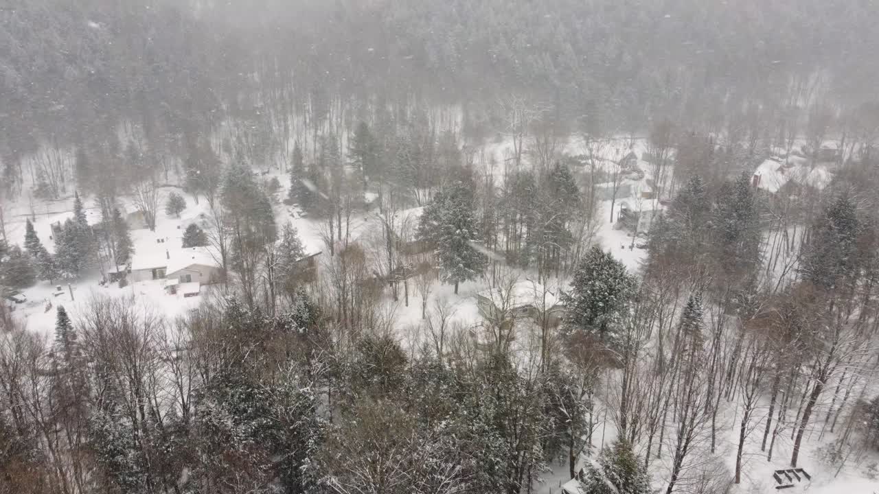 Snowy forest landscape with scattered houses in Sherbrooke, Canada in winter