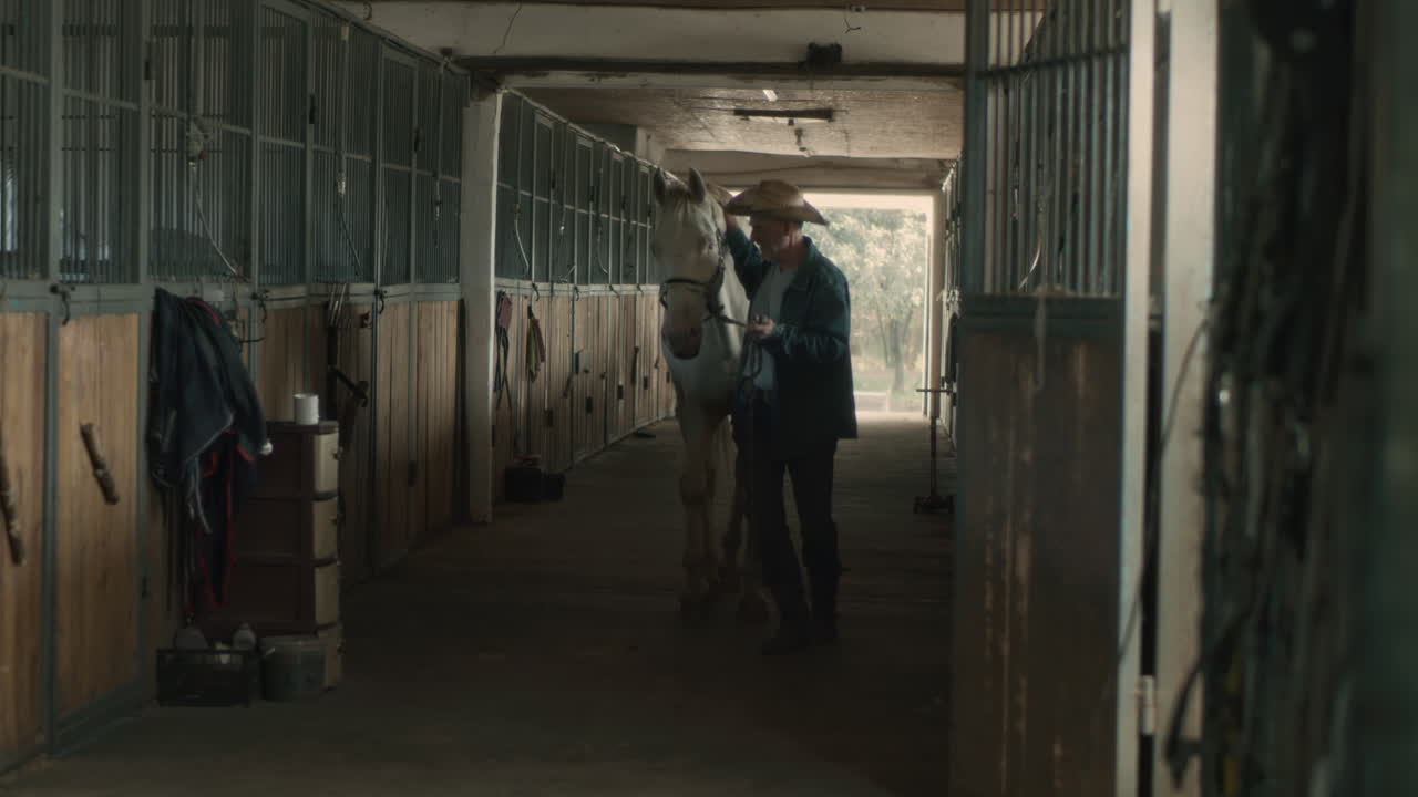 Man grooming a horse in a stable