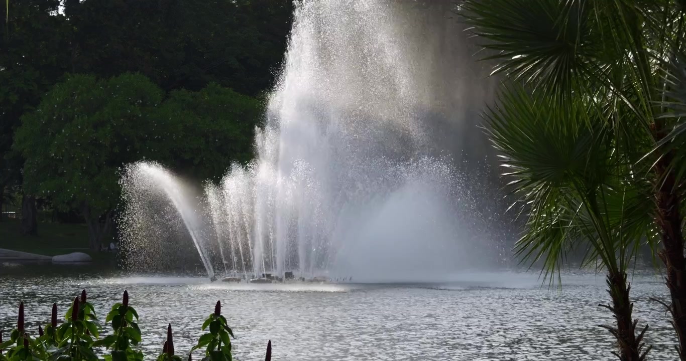 Uno splendido gioco d'acqua esalta la bellezza di un tranquillo ambiente di parco urbano