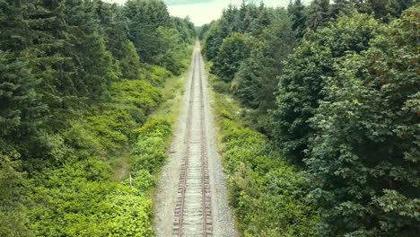 Drone-view-facing-forward-flying-down-railroad-tracks-and-rising-up-between-trees