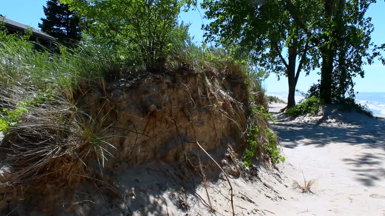 Vista idilliaca diurna della spiaggia di Indiana Dunes con fogliame vivace, sabbia soffice, cielo blu, ombre che creano una scena tranquilla e pittoresca senza persone visibili