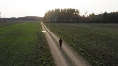 slow zoom in on girl in red coat walking along green field and bright sun