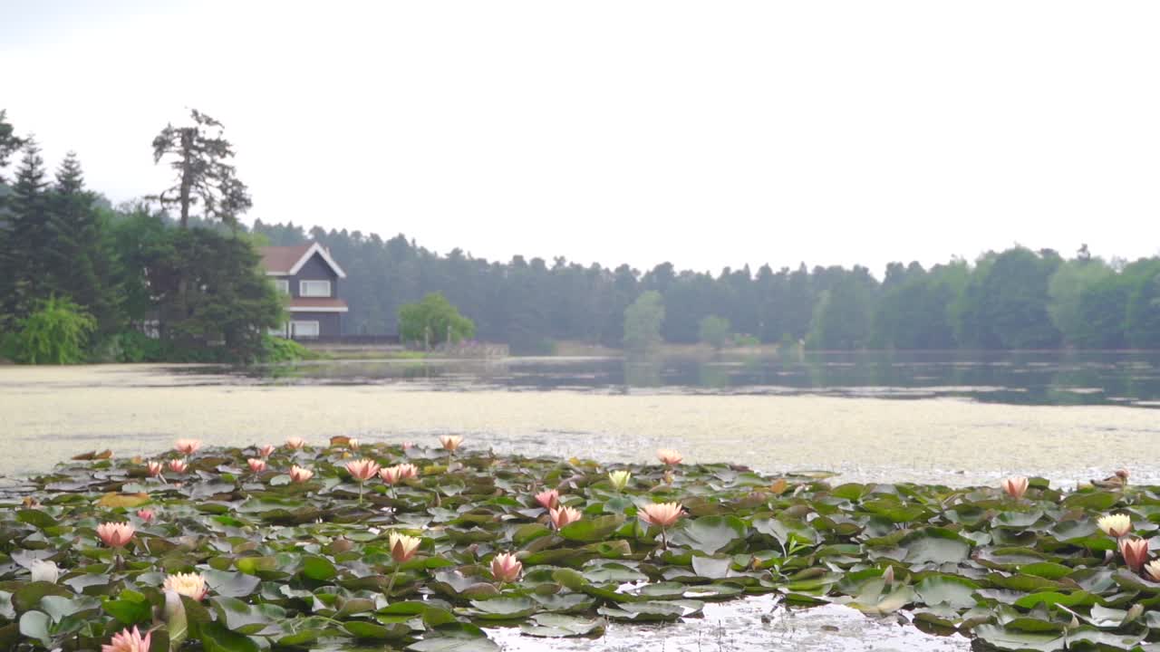 vista del lago en cámara lenta.