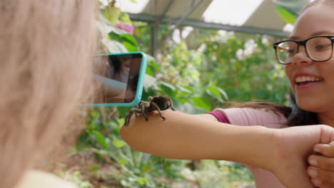 chica joven sosteniendo una araña tarántula con un amigo tomando fotos usando un teléfono inteligente compartiendo una excursión al zoológico en las redes sociales aprendiendo sobre los arácnidos en el santuario de vida silvestre 4k