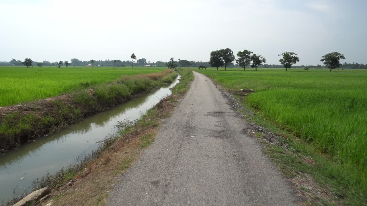 시골 도로에서 들판으로 이동합니다.