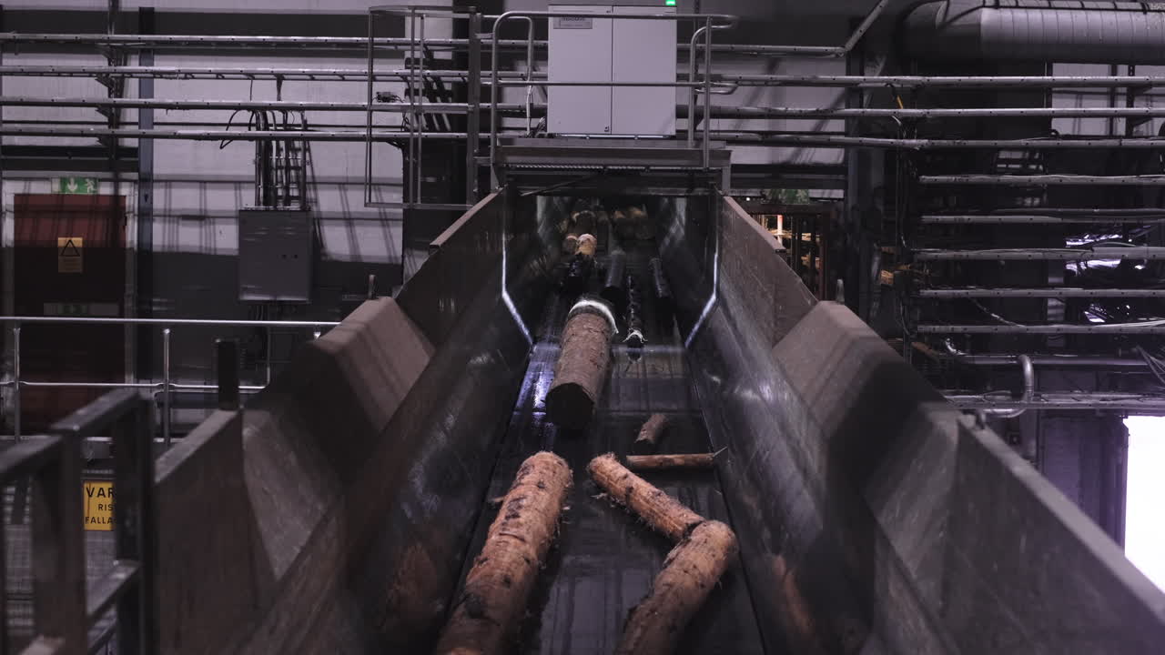 통나무가 컨베이어 벨트 또는 트레드밀 기계에서 이동하는 것이 보입니다. 작은 가지를 제거하기 위해 흔들립니다. 산업 기계 처리 목재 수확 임산물에 대한 수요를 충족시키기 위한 효율적인 생산