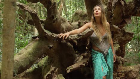 caucasian female model posing on massive roots of fallen dead tree - lamington national park track - gold coast, qld, australia. - handheld shot
