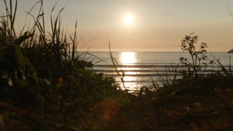 Sunset-at-the-sea,-grass-surrounding-view