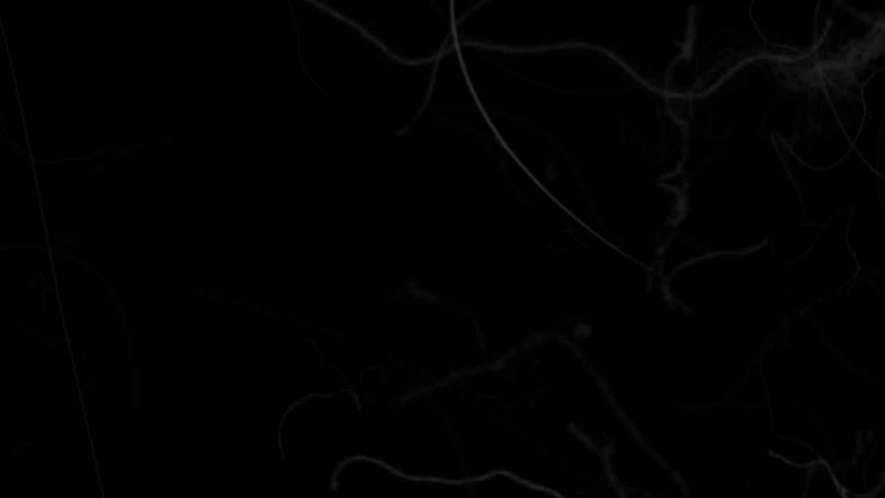 Animazione Astratta di Rete Neurale con Linee Bianche in Movimento su Sfondo Nero