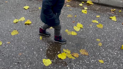 little boy jumping in puddle and splashing water at park