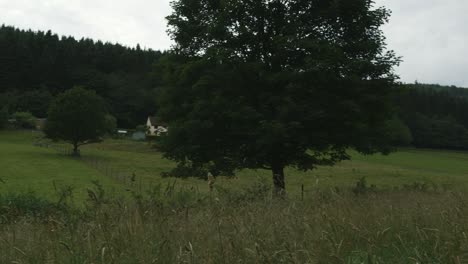 Slow-pan-across-English-forestry-countryside-with-various-rural-homes-and-farmland